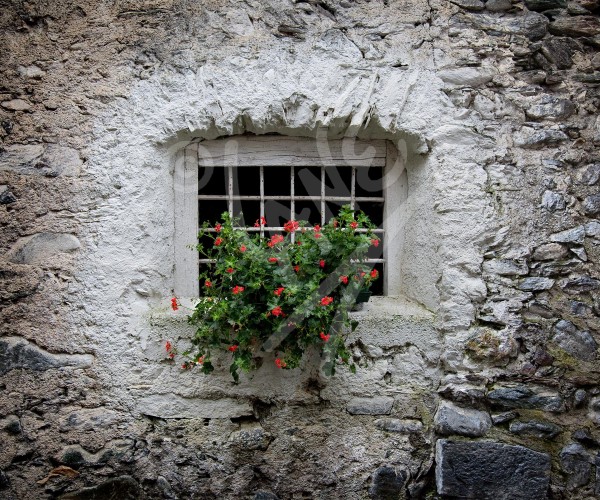 ITALY Borimo